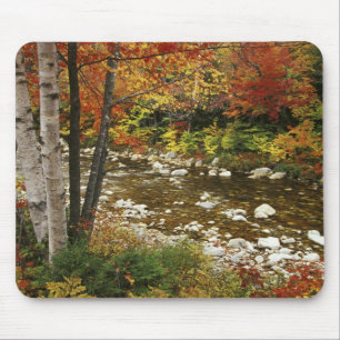 N.A., USA, New Hampshire, White Mountains, Mouse Pad