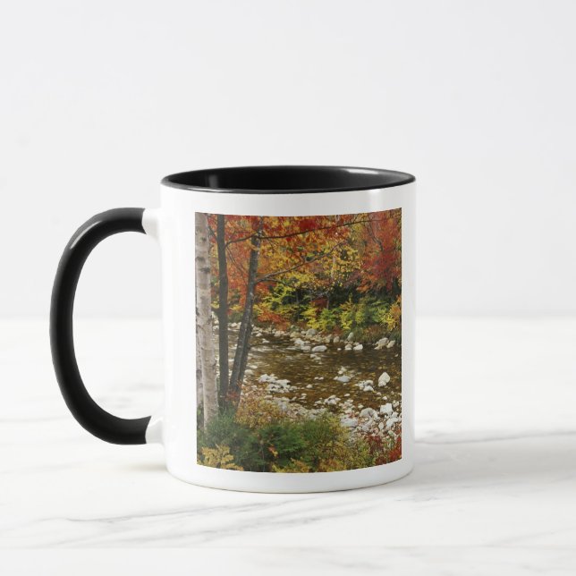 N.A., USA, New Hampshire, White Mountains, Mug (Left)