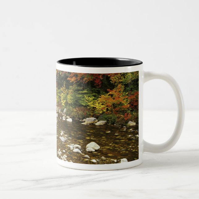 N.A., USA, New Hampshire, White Mountains, Two-Tone Coffee Mug (Right)