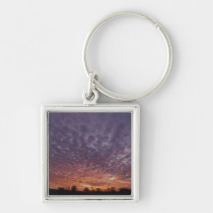 N.A., USA, New Mexico, near Las Cruces, Keychain