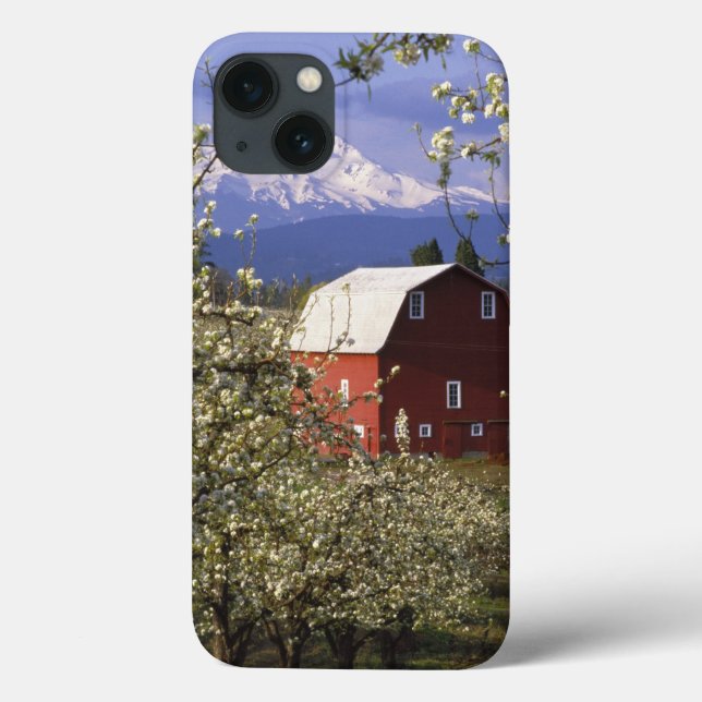 N.A., USA, Oregon, Hood River County. Red Case-Mate iPhone Case (Back)