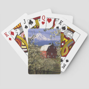 N.A., USA, Oregon, Hood River County. Red Playing Cards
