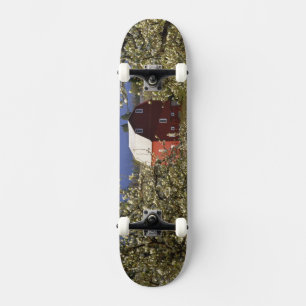 N.A., USA, Oregon, Hood River County. Red Skateboard