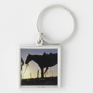 N.A., USA, Oregon, Seneca, Ponderosa Ranch, Keychain