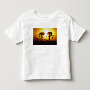 N.A., USA, South Carolina, Charleston. Sunset Toddler T-shirt