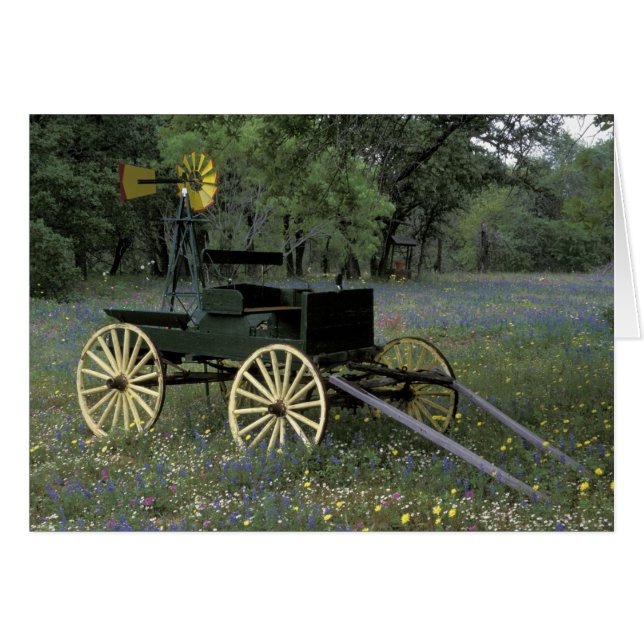 N.A., USA, Texas, Devine, Old wagon and (Front Horizontal)