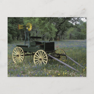 N.A., USA, Texas, Devine, Old wagon and Postcard