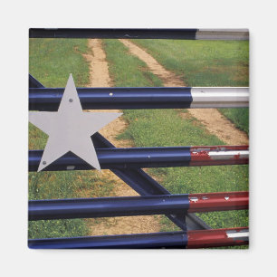 N.A., USA, Texas, Lake Buchanan, Texas flag Magnet
