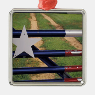 N.A., USA, Texas, Lake Buchanan, Texas flag Metal Ornament