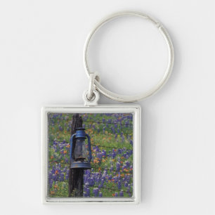N.A., USA, Texas, Llano, Blue Lantern and Keychain