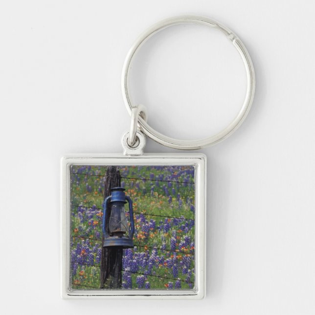 N.A., USA, Texas, Llano, Blue Lantern and Keychain (Front)