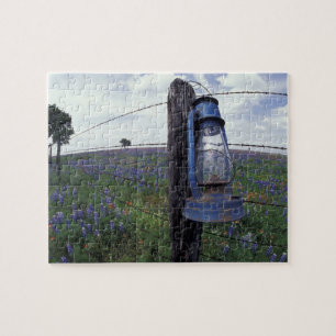 N.A., USA, Texas, Llano, Blue Lantern, Oak tree Jigsaw Puzzle