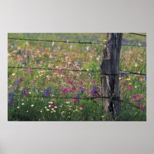 N.A, USA, Texas, Lytle, Fence post and Poster