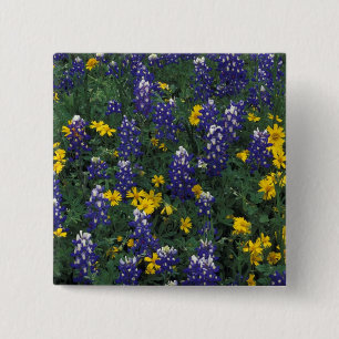 N.A, USA, Texas, Marble Falls, Blue Bonnets 2 Inch Square Button