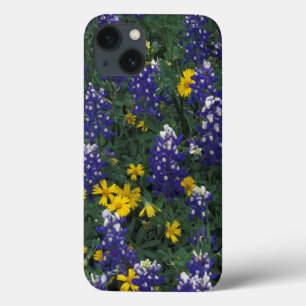 N.A, USA, Texas, Marble Falls, Blue Bonnets iPhone 13 Case