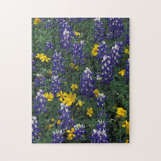 N.A, USA, Texas, Marble Falls, Blue Bonnets Jigsaw Puzzle (Vertical)