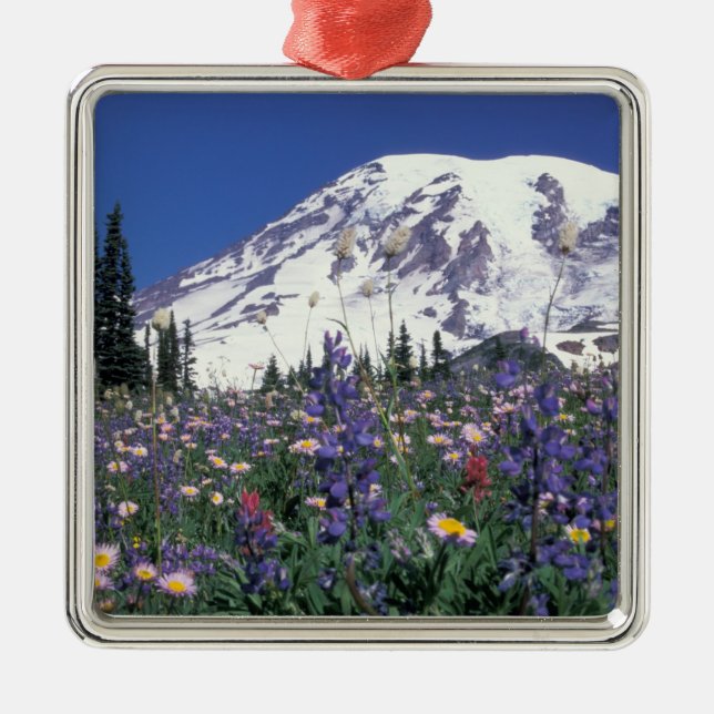 N.A., USA, Washington Mt. Rainier and Metal Ornament (Front)