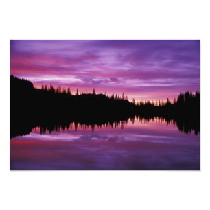 N.A., USA, Washington, Mt. Rainier National 3 Photo Print