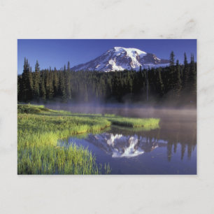 N.A., USA, Washington, Mt. Rainier National 5 Postcard
