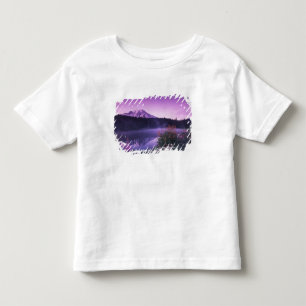 N.A., USA, Washington, Mt. Rainier National Toddler T-shirt