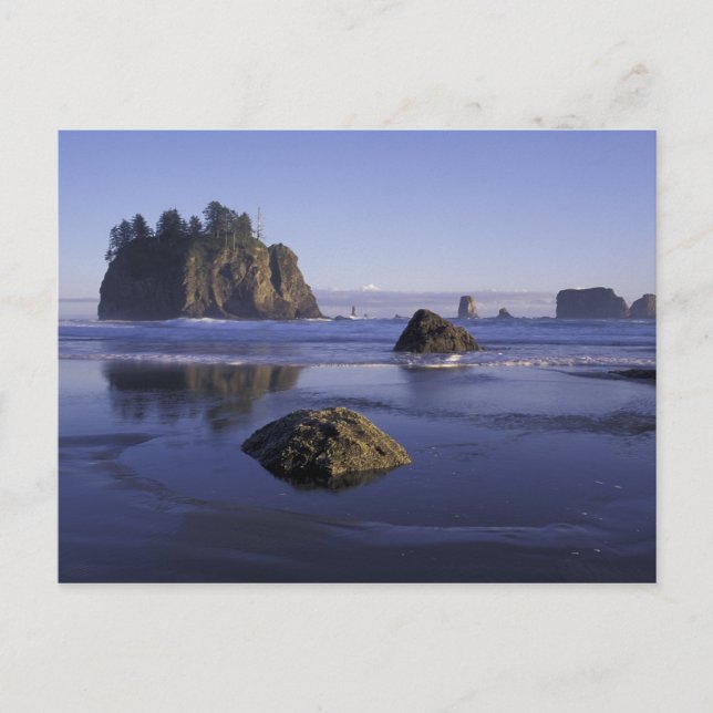 N.A., USA, Washington, Olympic National Park, 3 Postcard (Front)
