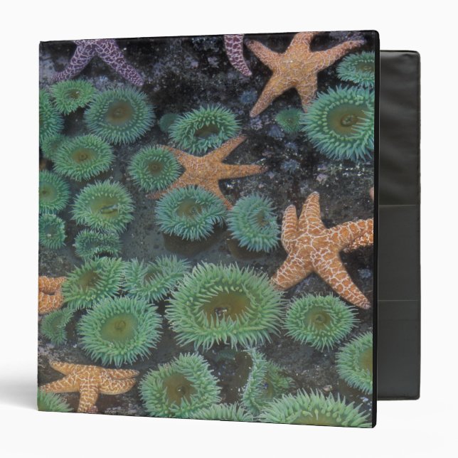 N.A., USA, Washington, Olympic National Park Binder (Front/Inside)