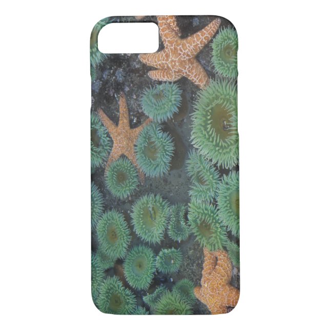 N.A., USA, Washington, Olympic National Park Case-Mate iPhone Case (Back)