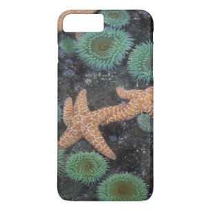 N.A., USA, Washington, Olympic National Park iPhone 8 Plus/7 Plus Case