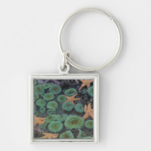 N.A., USA, Washington, Olympic National Park Keychain