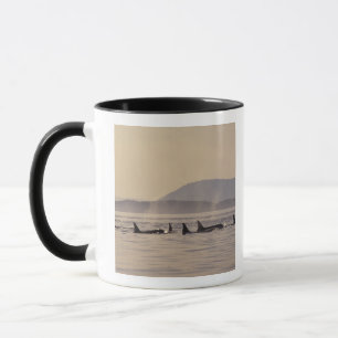 N.A., USA, Washington, San Juan Islands Orca Mug