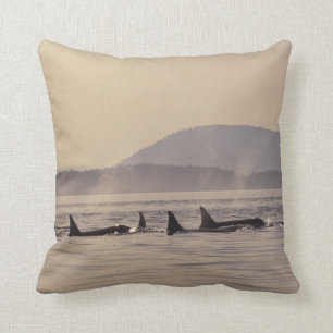 N.A., USA, Washington, San Juan Islands Orca Throw Pillow