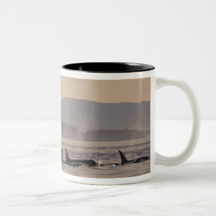 N.A., USA, Washington, San Juan Islands Orca Two-Tone Coffee Mug
