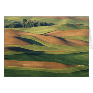 N.A., USA, Washington, Whitman County.