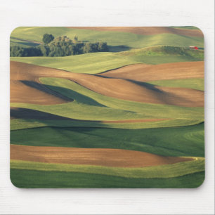 N.A., USA, Washington, Whitman County. Mouse Pad