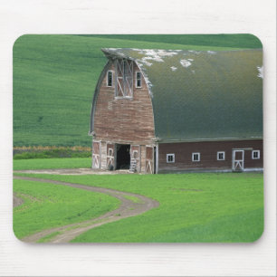 N.A., USA, Washington, Whitman County. Old Mouse Pad