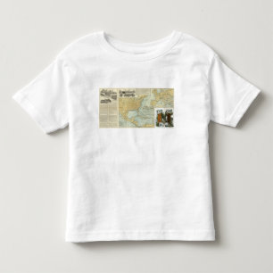 N America, W Europe passenger lines Toddler T-shirt