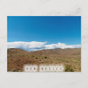 N E W   M E X I C O POSTCARD