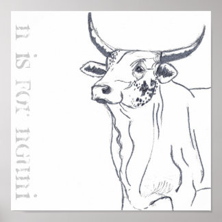 n is for nguni poster