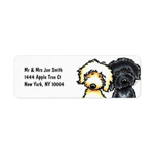 N jaune Labradoodle noir