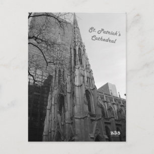 N.Y.E St. Patrick's Cathedral Postcard