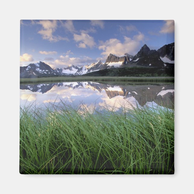 NA, Canada, Alberta, Tonquin Valley. Jasper Magnet (Front)