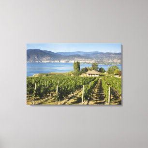 NA; Canada; British Columbia; Okanagan Valley; Canvas Print