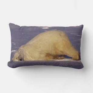 NA, Canada, Manitoba, Churchill, Polar bear Lumbar Pillow
