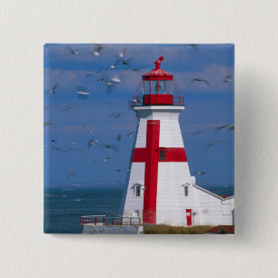 NA, Canada, New Brunswick, Campobello Island. 8 2 Inch Square Button