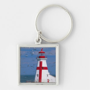 NA, Canada, New Brunswick, Campobello Island. 8 Keychain