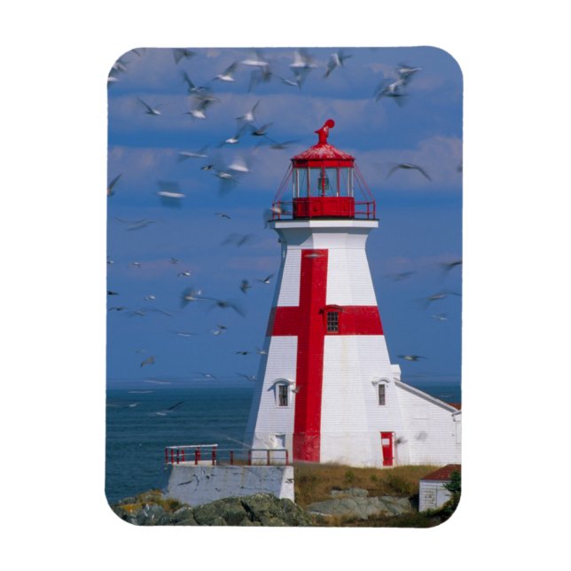 NA, Canada, New Brunswick, Campobello Island. 8 Magnet (Vertical)