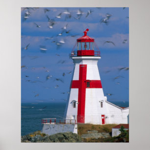 NA, Canada, New Brunswick, Campobello Island. 8 Poster