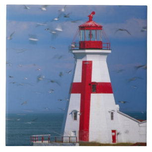 NA, Canada, New Brunswick, Campobello Island. 8 Tile