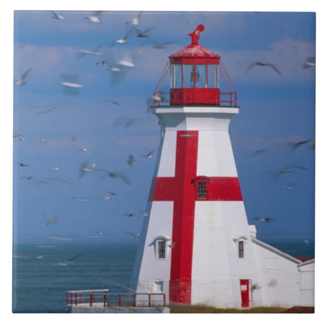 NA, Canada, New Brunswick, Campobello Island. 8 Tile (Front)