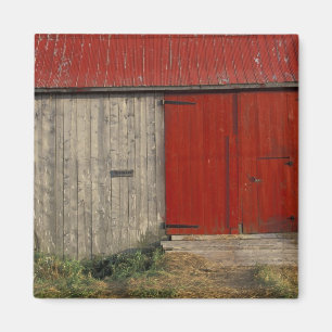 NA, Canada, New Brunswick, Shepody. Red barn Magnet